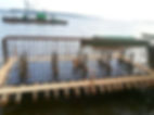 Jetty-1